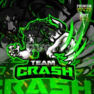 TEAM CRASH