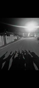 gang gang